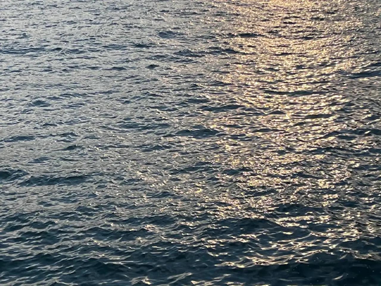 撞进夏日的海风里，自由自在，无忧无虑(图9)