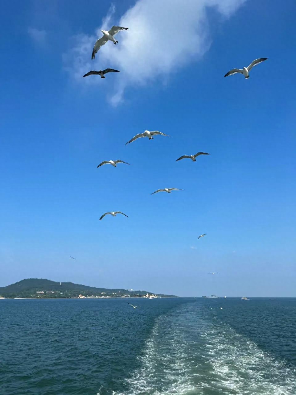 撞进夏日的海风里，自由自在，无忧无虑(图17)