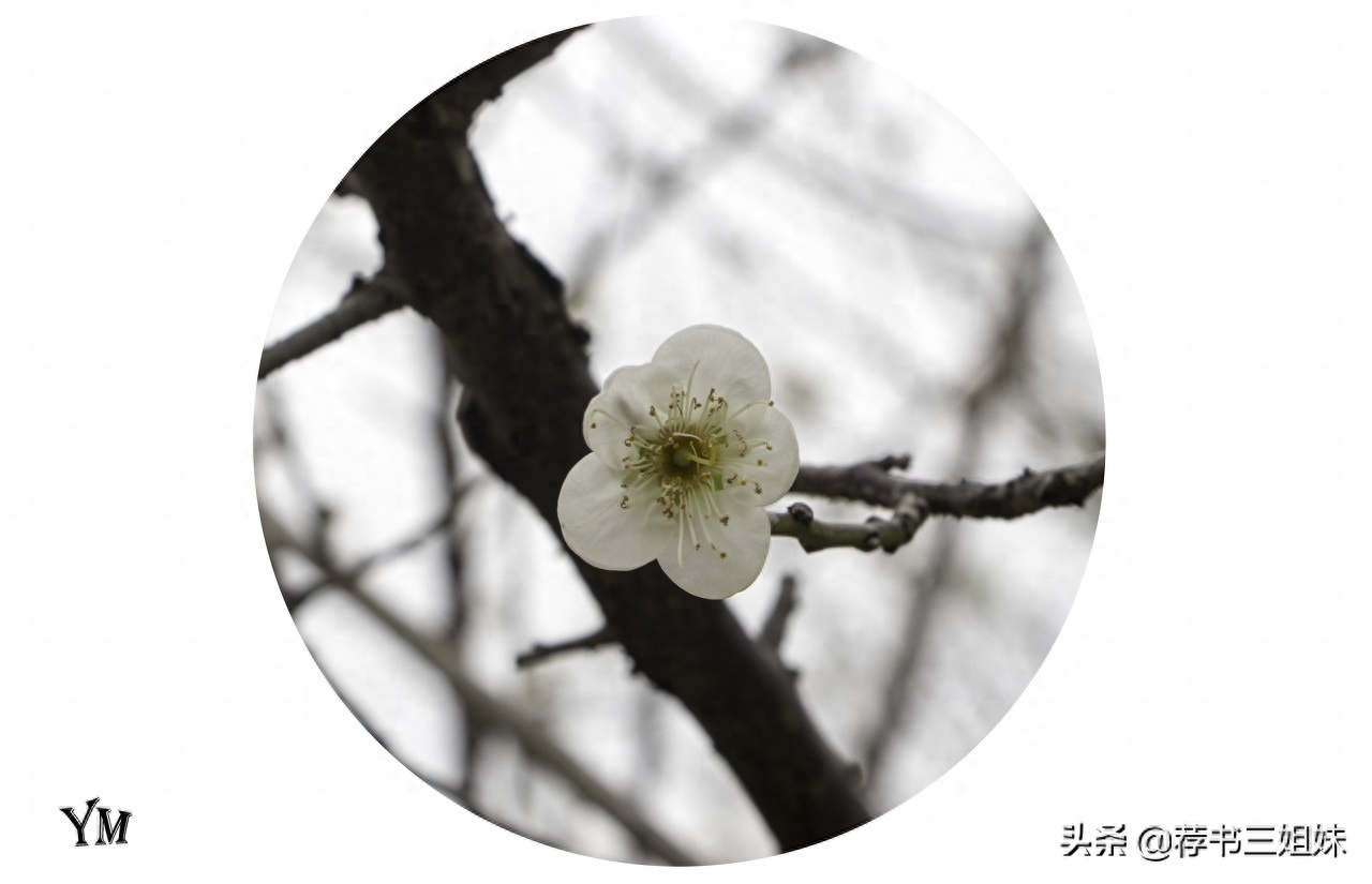 5首励志诗词，坚持不下去的时候读一读，成功的未来看得见(图2)