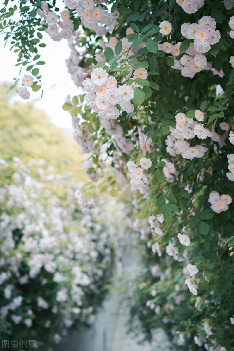 二月，初春，草色新，水初温，一帘风冷，一纸墨凉(图1)