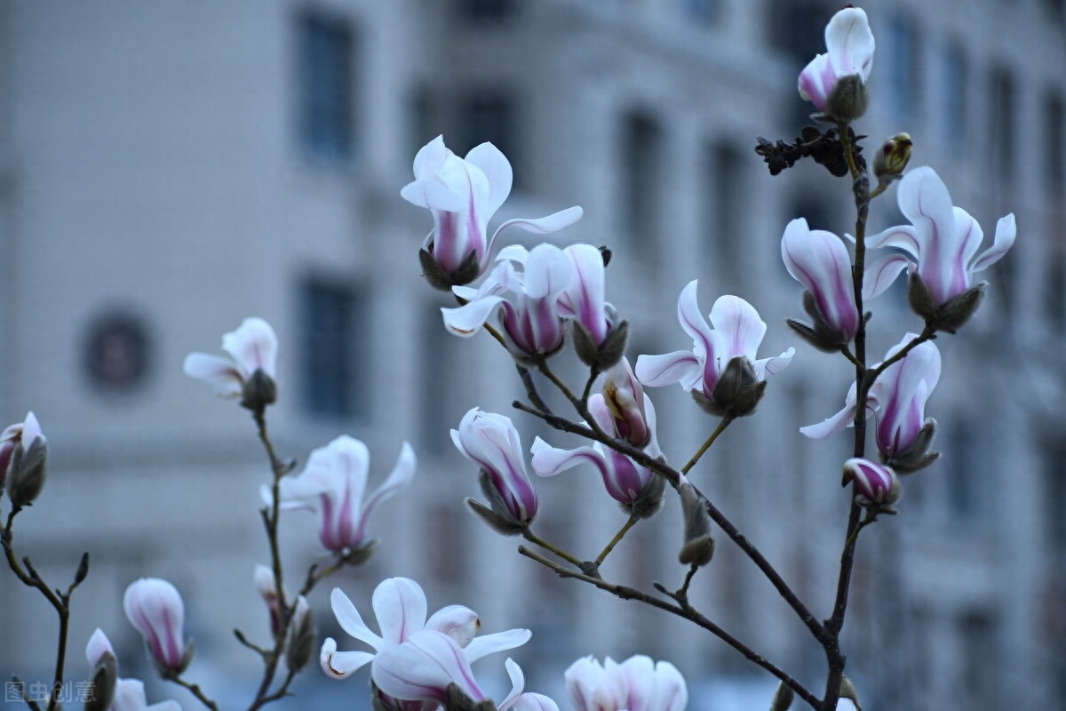 二月，初春，草色新，水初温，一帘风冷，一纸墨凉(图2)