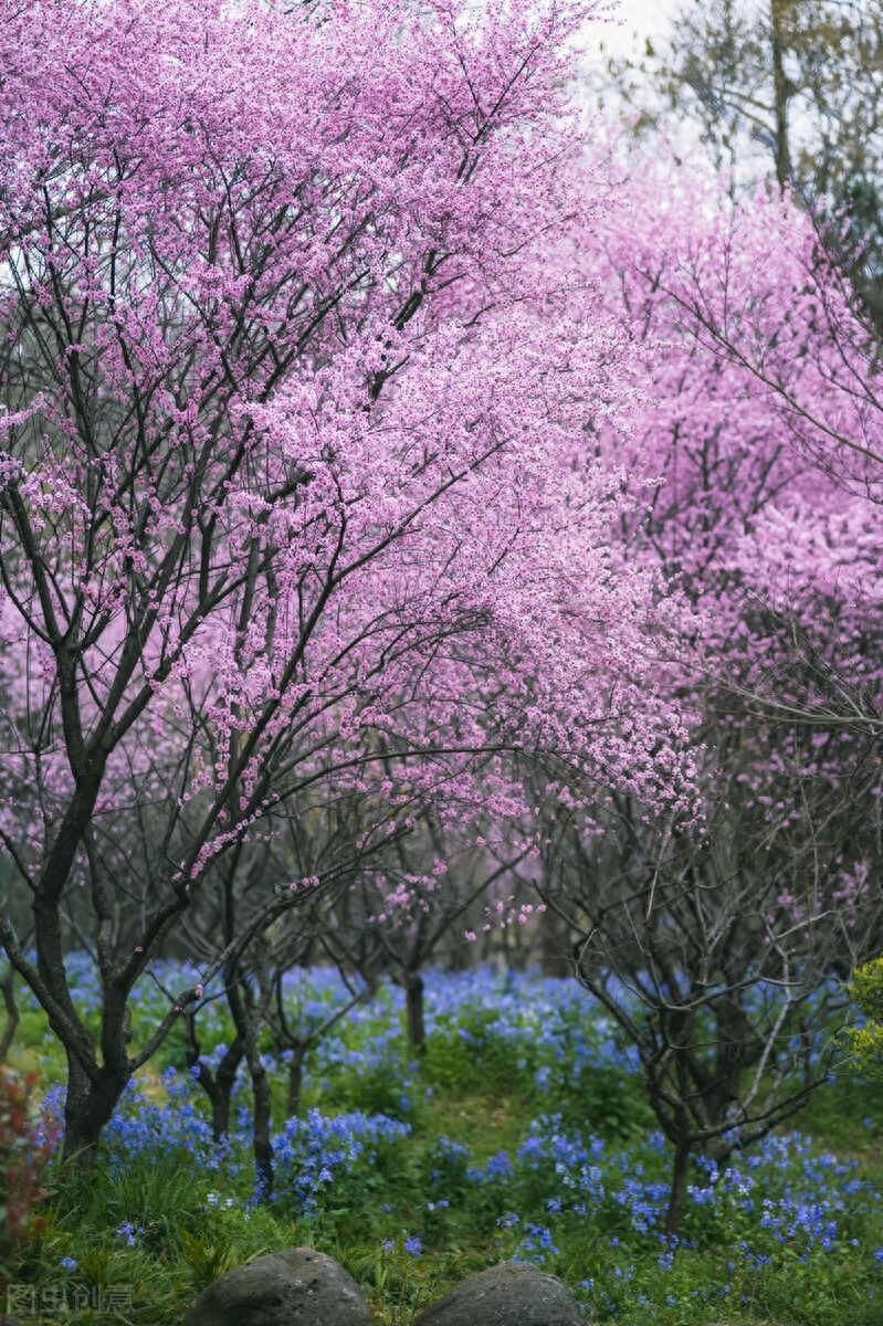 二月，初春，草色新，水初温，一帘风冷，一纸墨凉(图3)