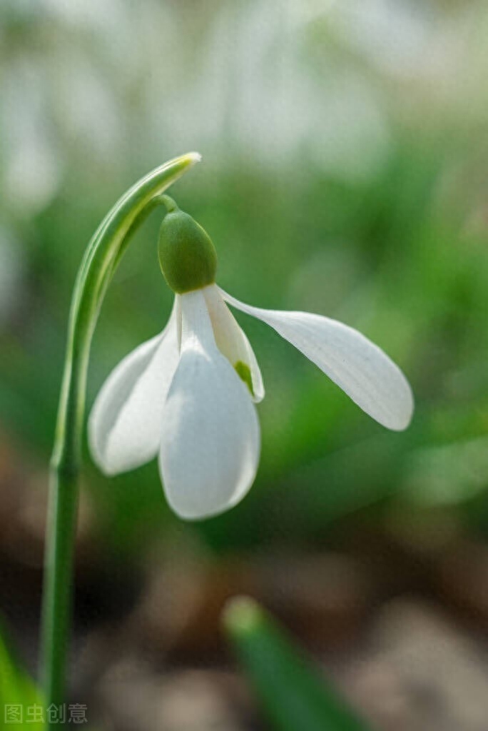 二月，初春，草色新，水初温，一帘风冷，一纸墨凉(图4)