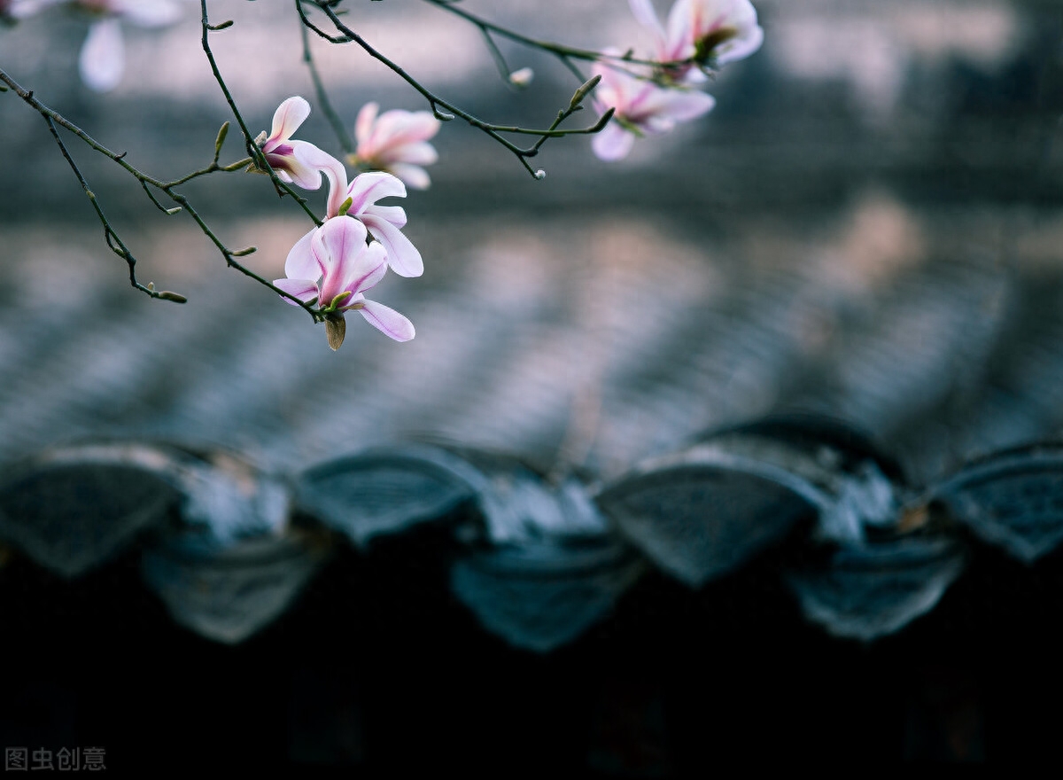 二月，初春，草色新，水初温，一帘风冷，一纸墨凉(图5)