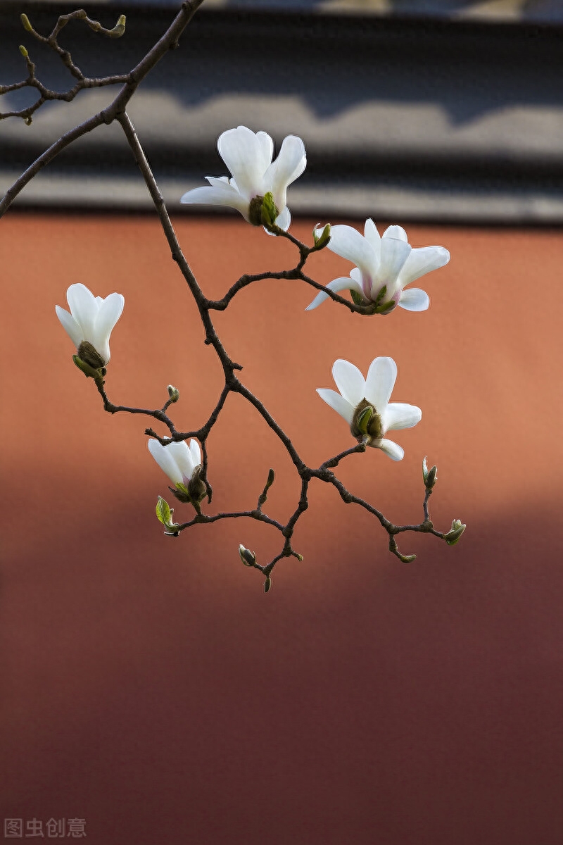 二月，初春，草色新，水初温，一帘风冷，一纸墨凉(图6)