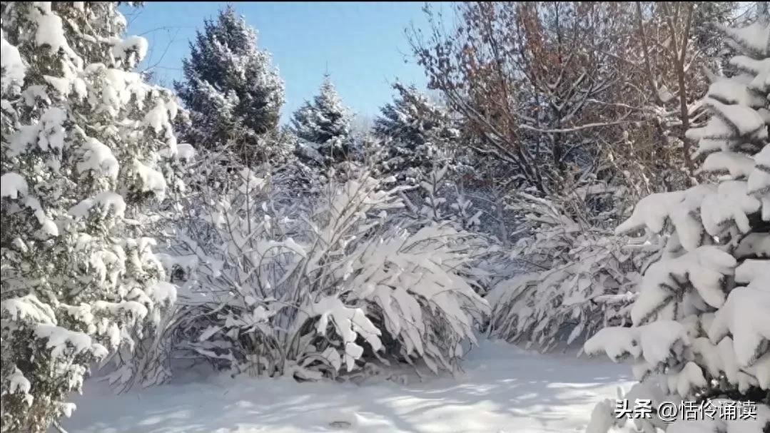 温情二月，与冬告别，春风吹散雪的清凉，满怀期许，与春同行(图1)