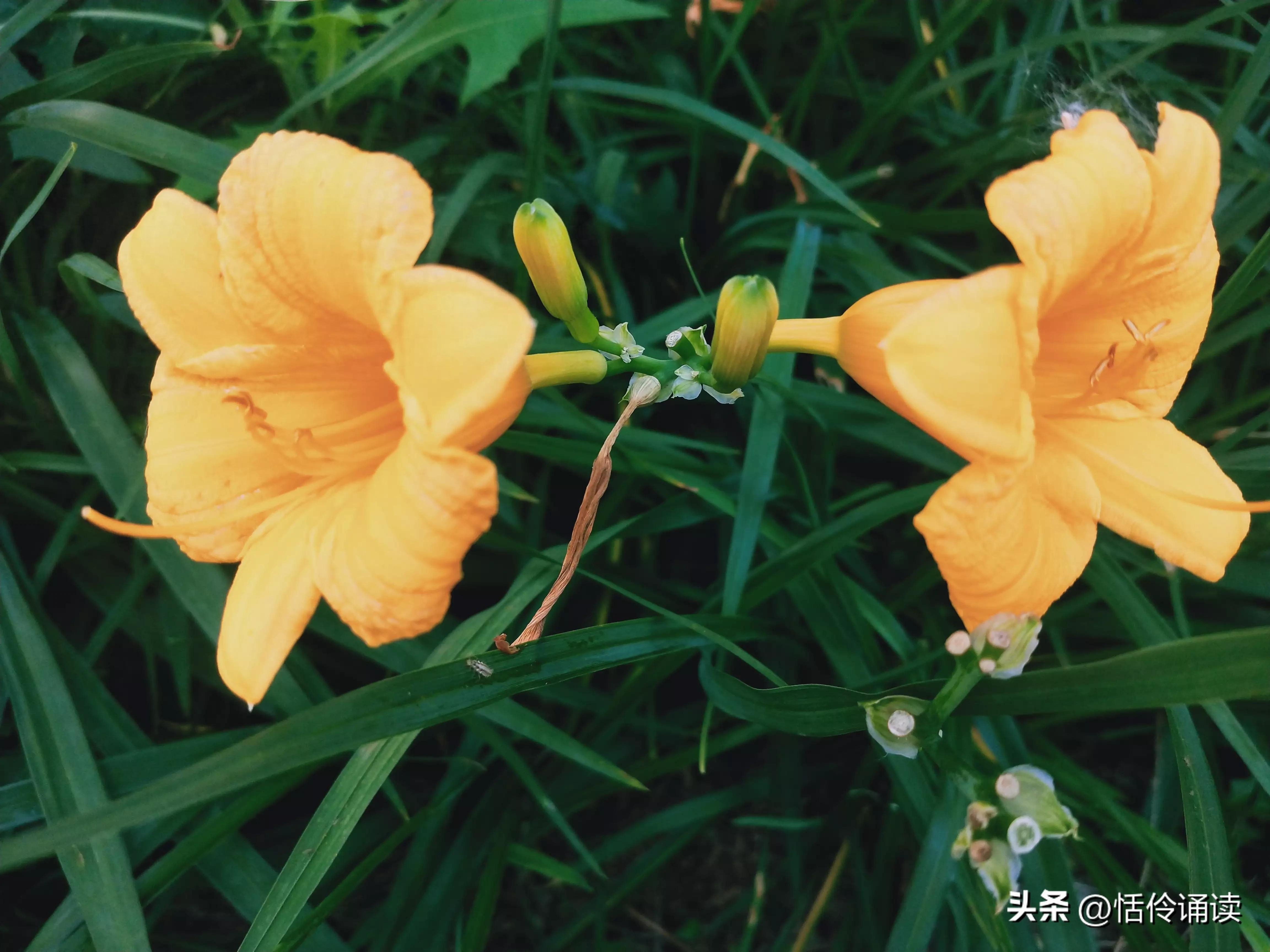 温情二月，与冬告别，春风吹散雪的清凉，满怀期许，与春同行(图5)