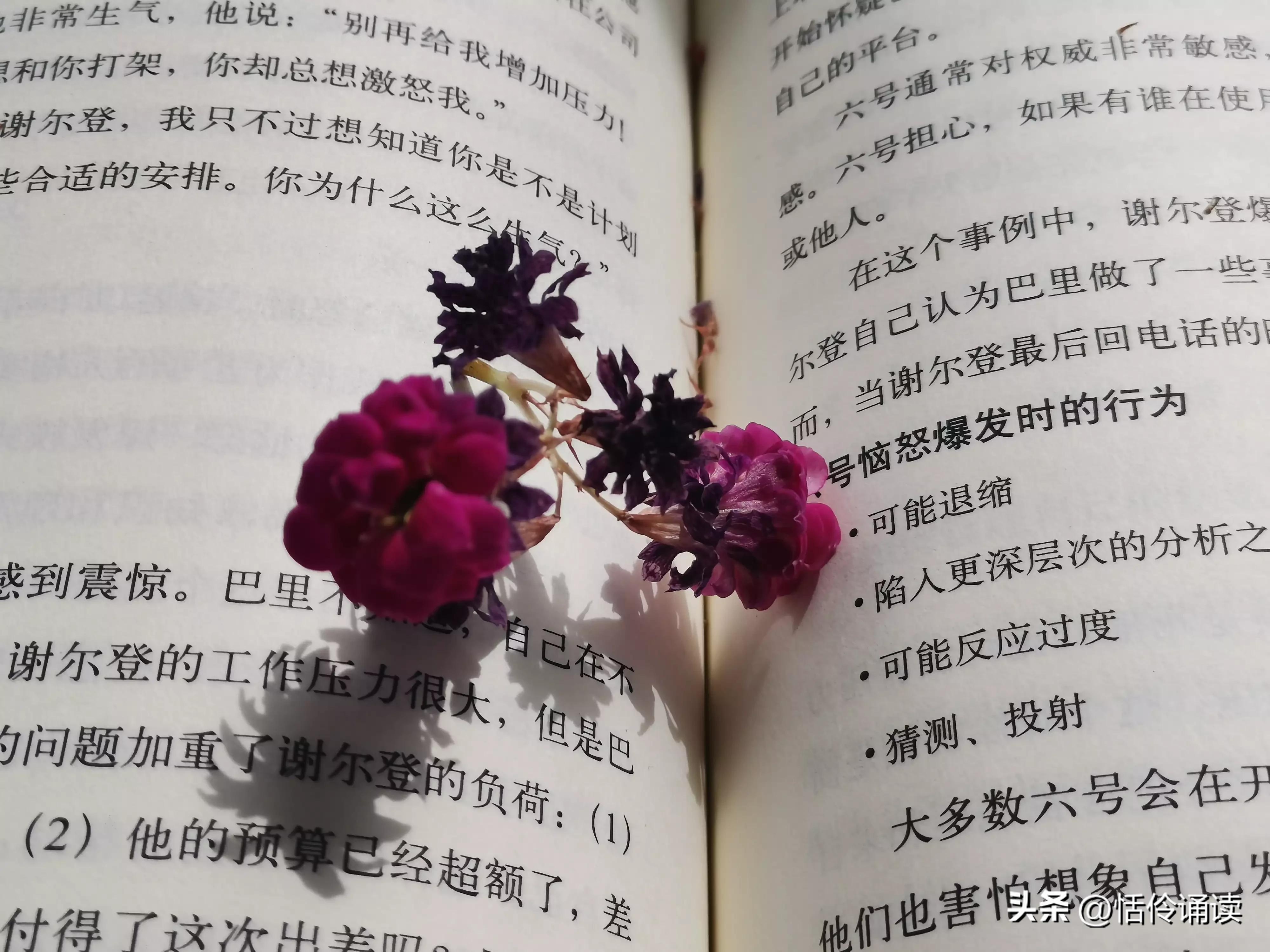 温情二月，与冬告别，春风吹散雪的清凉，满怀期许，与春同行(图6)