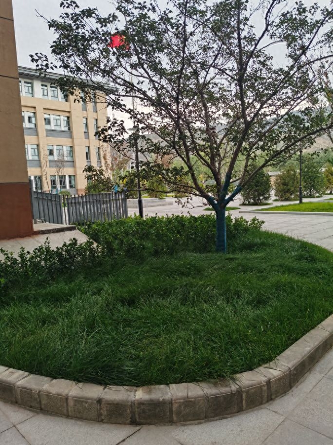 用心做好学校教育——校长与管理(图1)