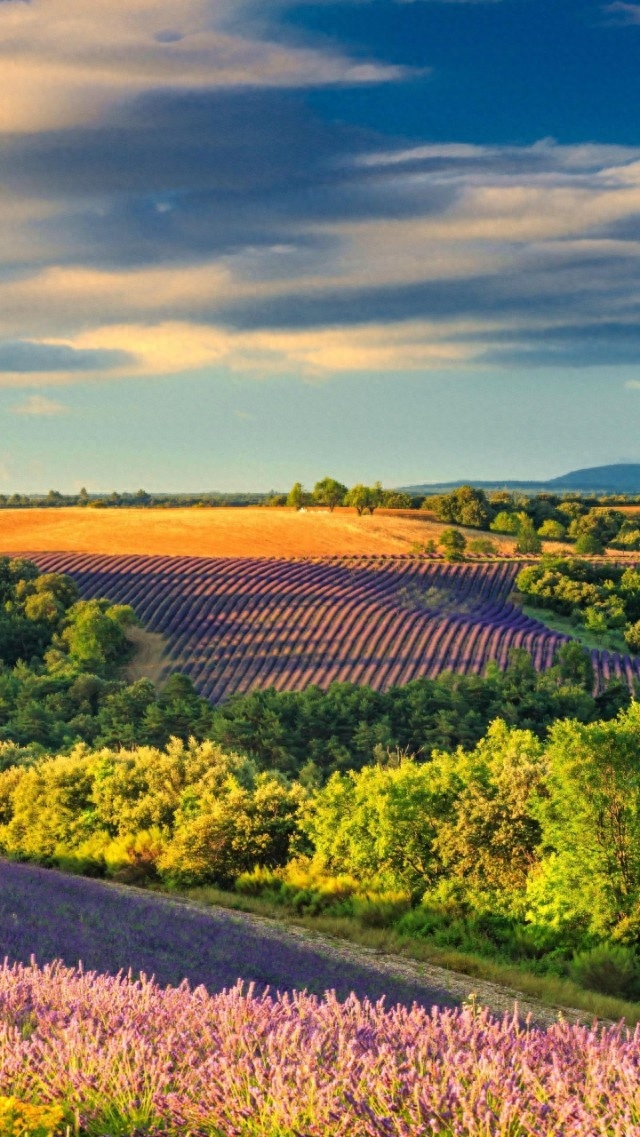 30句关于礼仪的古代哲理语录告诉你：怎样做一个有修养的人(图1)