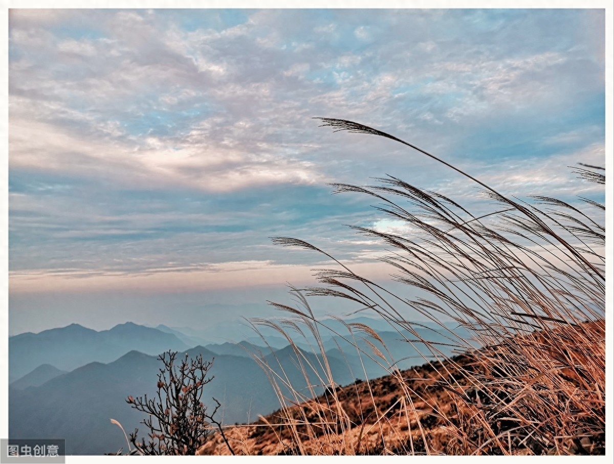 40句富有哲理的诗词名句，说尽人生哲理，总有一句触动你(图3)