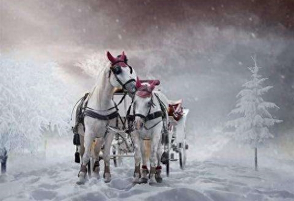 40句富有哲理的诗词名句，说尽人生哲理，总有一句触动你(图4)