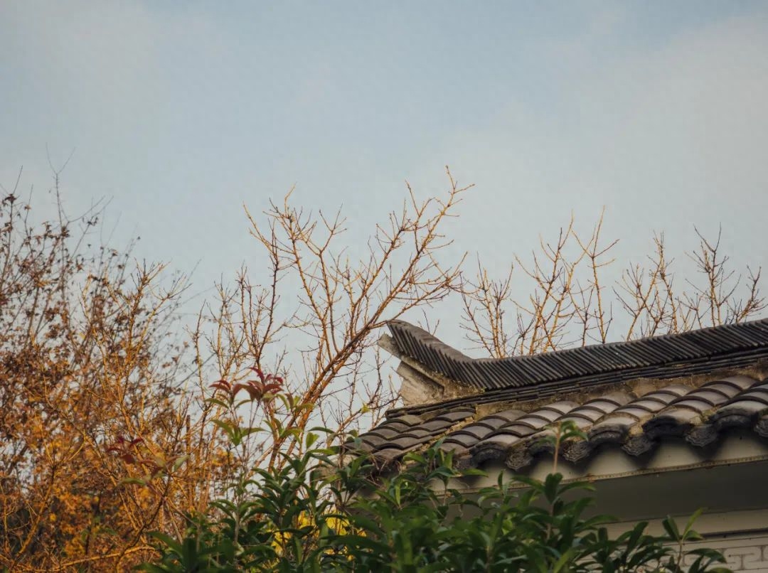 五句人生诗词，参悟十年青春(图4)