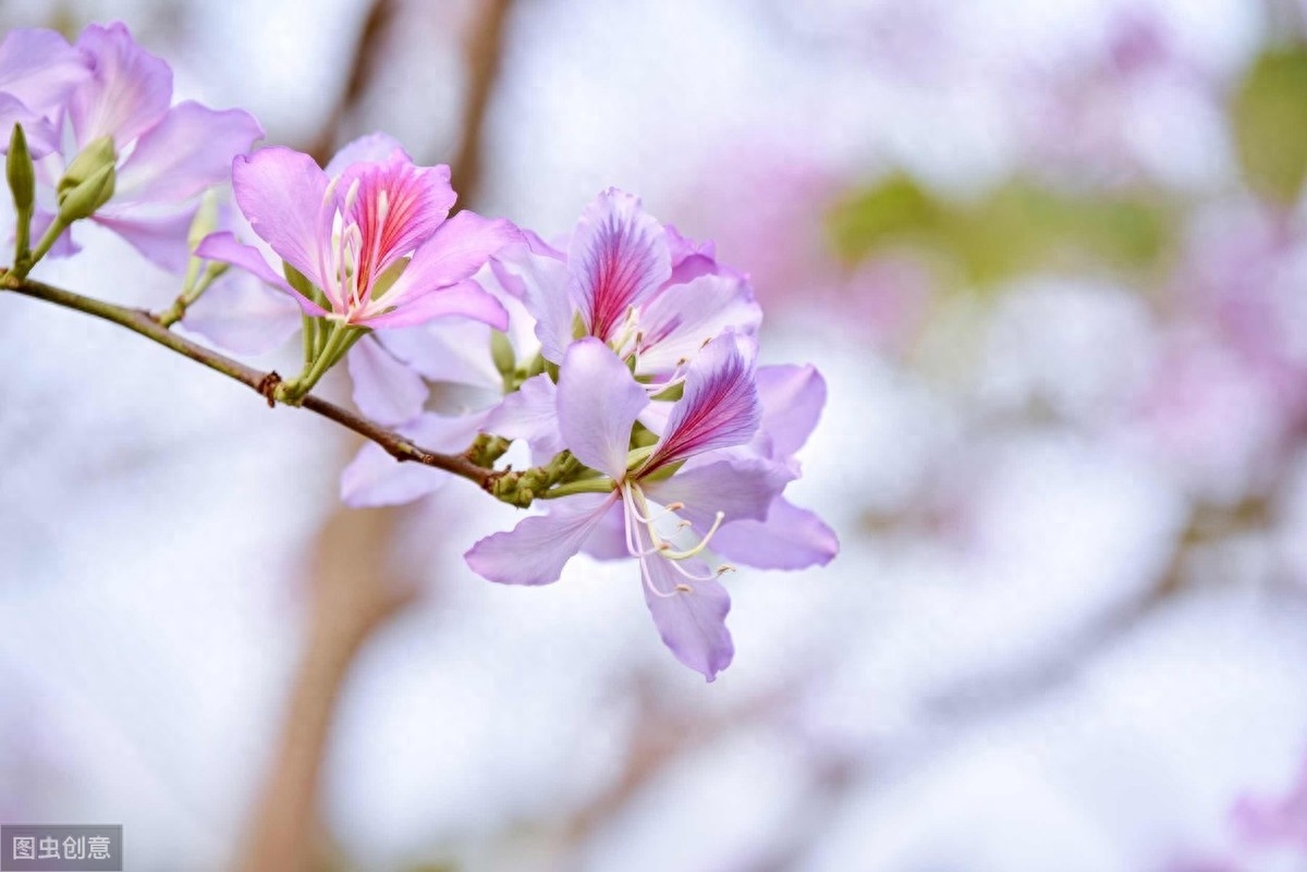 往事如烟，人生如梦，红尘似海深又浅(图3)