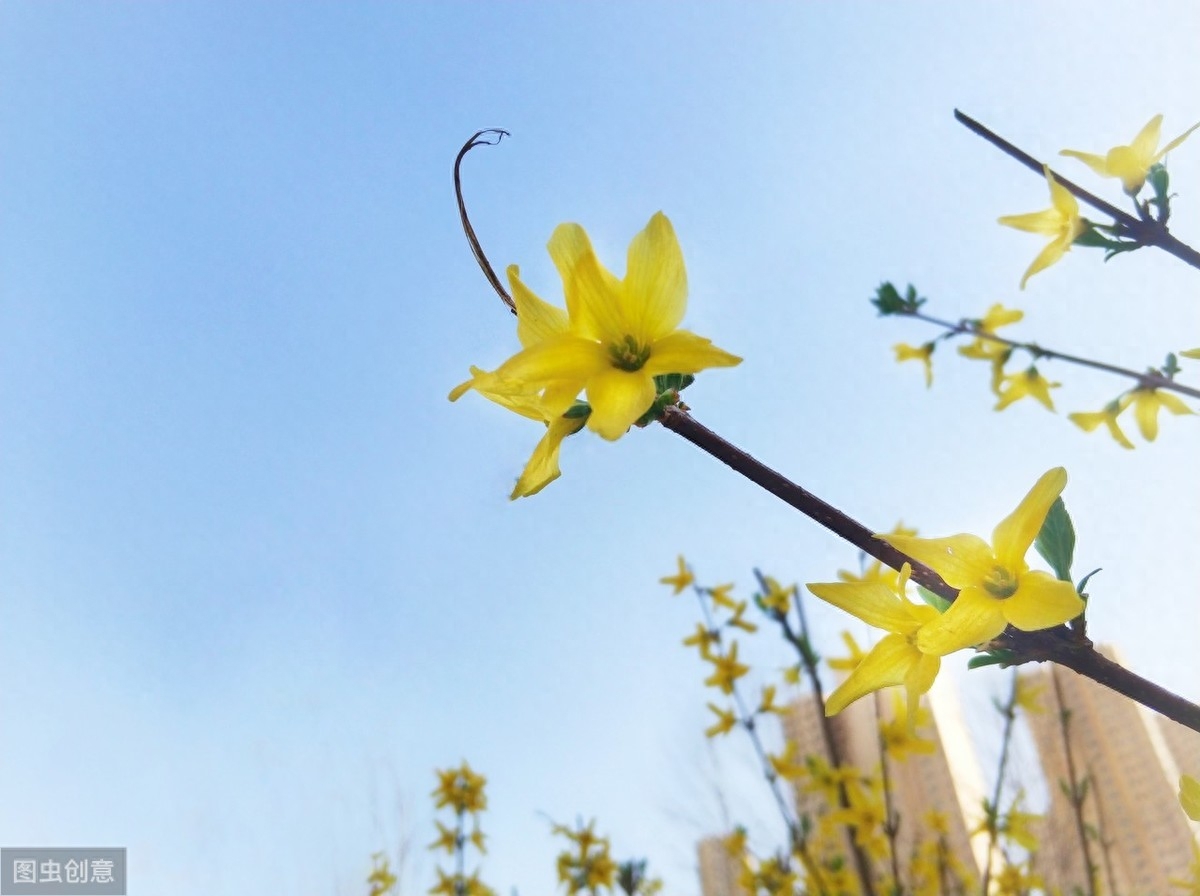 往事如烟，人生如梦，红尘似海深又浅(图4)