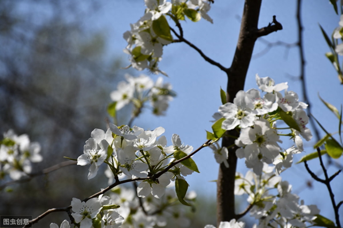 往事如烟，人生如梦，红尘似海深又浅(图5)