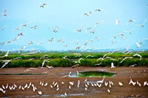 《诗经》最美30句，美到骨子里(图1)