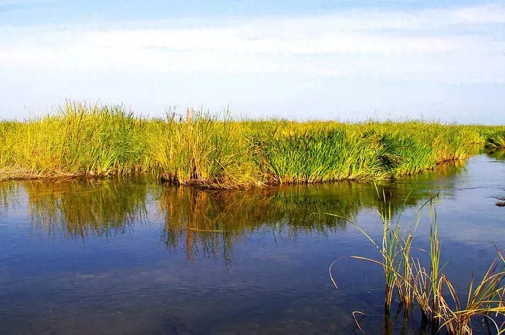 《诗经》最美30句，美到骨子里(图2)