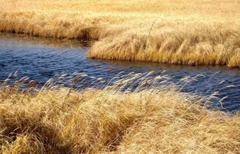 《诗经》最美30句，美到骨子里(图7)