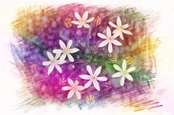 让人怦然心动的说说短语，唯美经典，句句惊艳时光(图4)