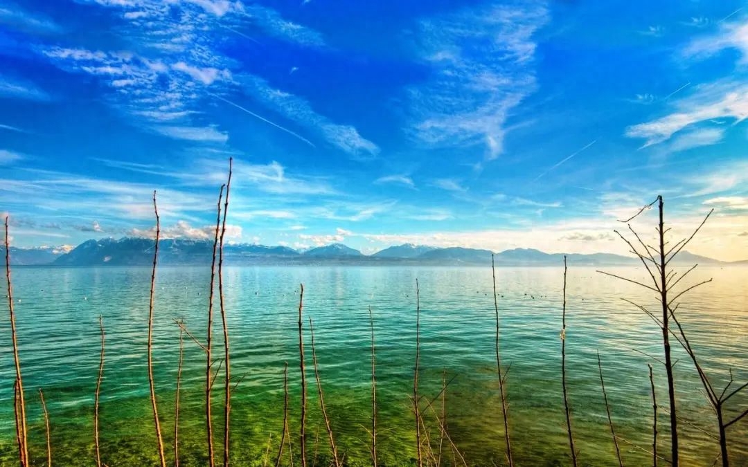 出去溜达心情好的文案:随心而行，尽享自在之漫步心情(图2)