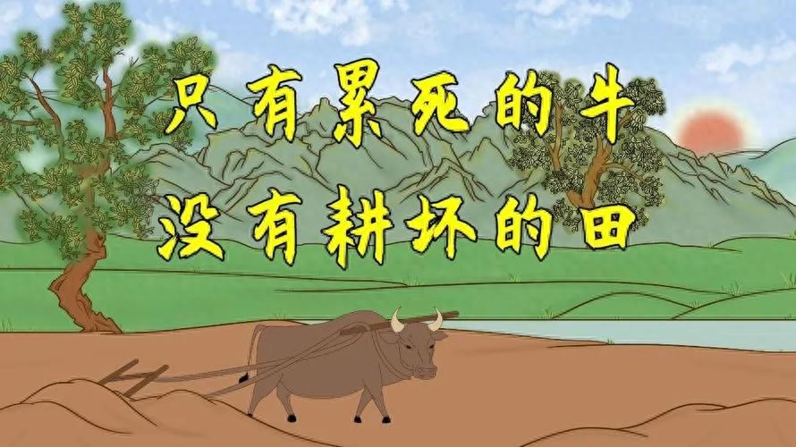 俗语“只有累死的牛，没有耕坏的田”啥意思？有道理吗？(图1)
