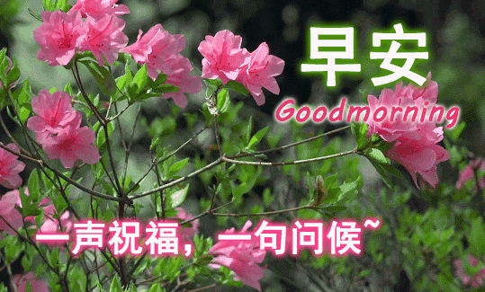 日子平平淡淡，季节去去还还，心情起起落落，友谊长长远远，早安(图1)