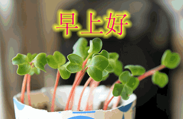 日子平平淡淡，季节去去还还，心情起起落落，友谊长长远远，早安(图4)