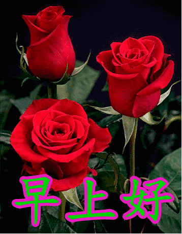 日子平平淡淡，季节去去还还，心情起起落落，友谊长长远远，早安(图8)