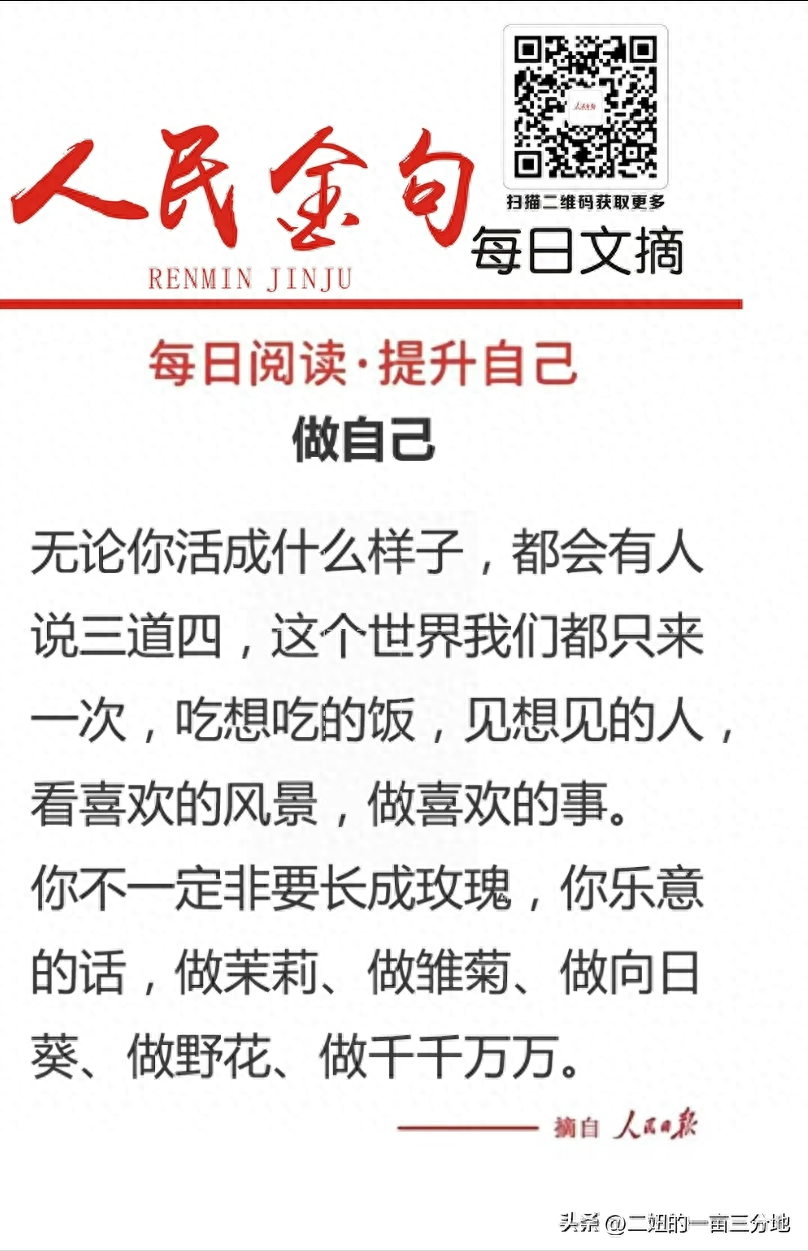 人民日报金句分享：勇敢做自己(图1)
