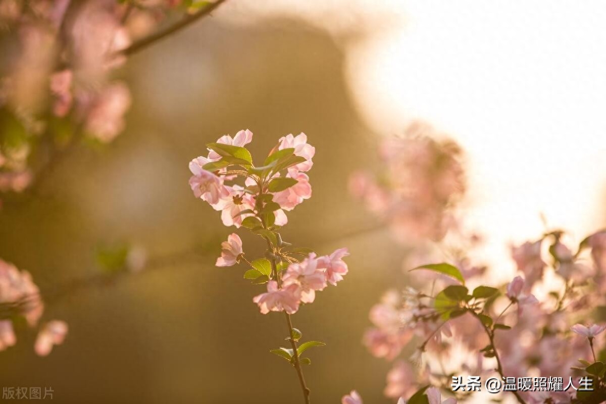 守住本心，敢于做自己(图2)