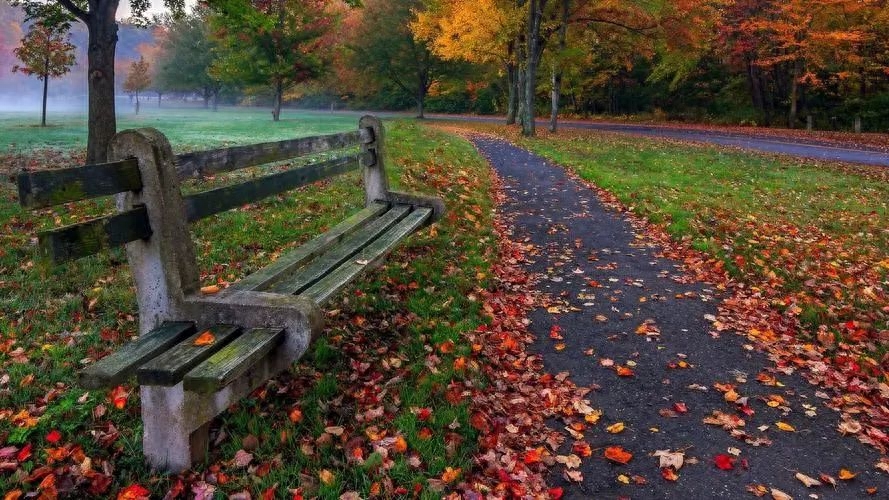 家人的温暖，朋友圈的共享,高级短句传递真情(图3)