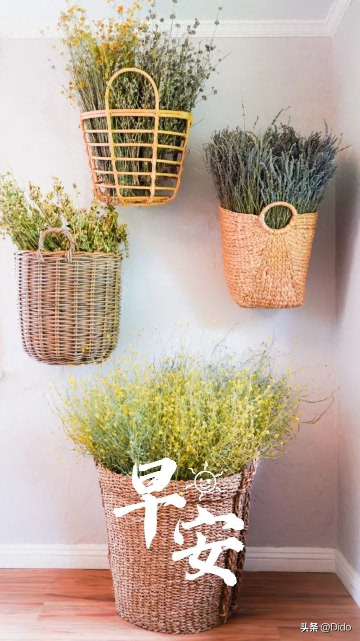 早安的正能量励志最新句子(图3)