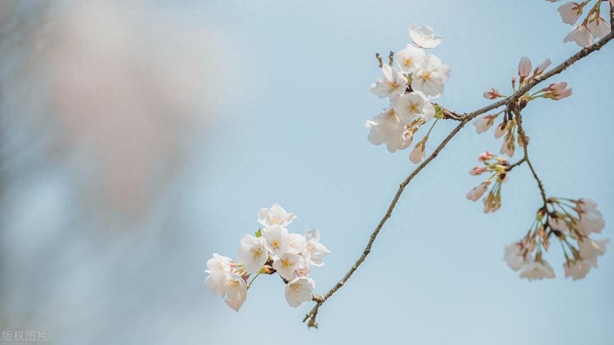 清晨美好阳光的早安正能量语录，简短励志，治愈人心(图1)