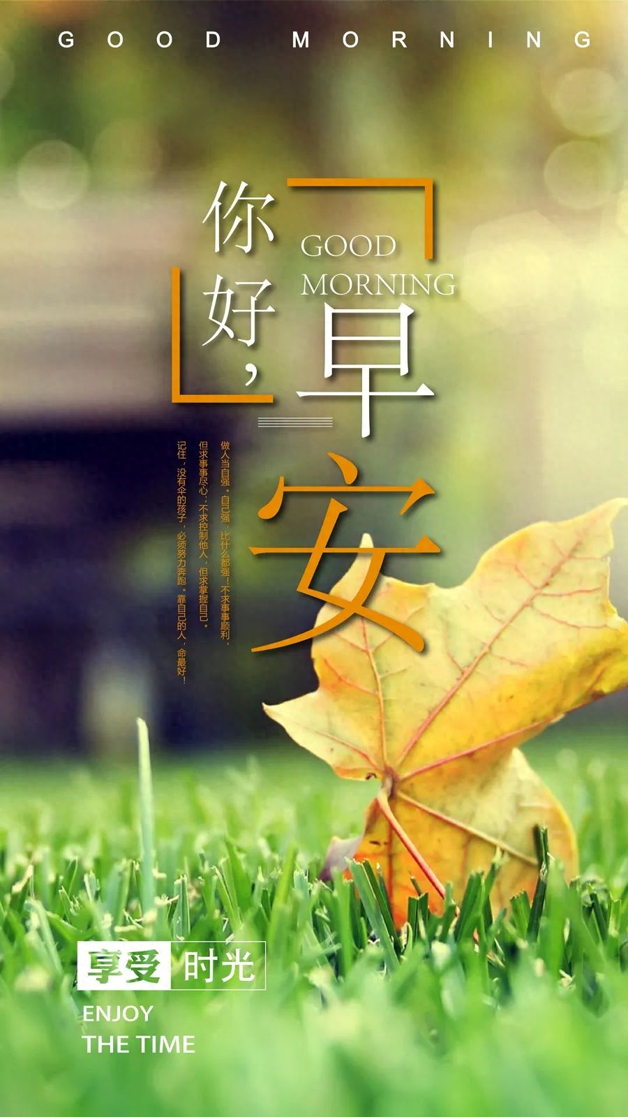 「2023.10.20」早安心语，正能量经典语录句子 触碰心灵的话语图片(图15)
