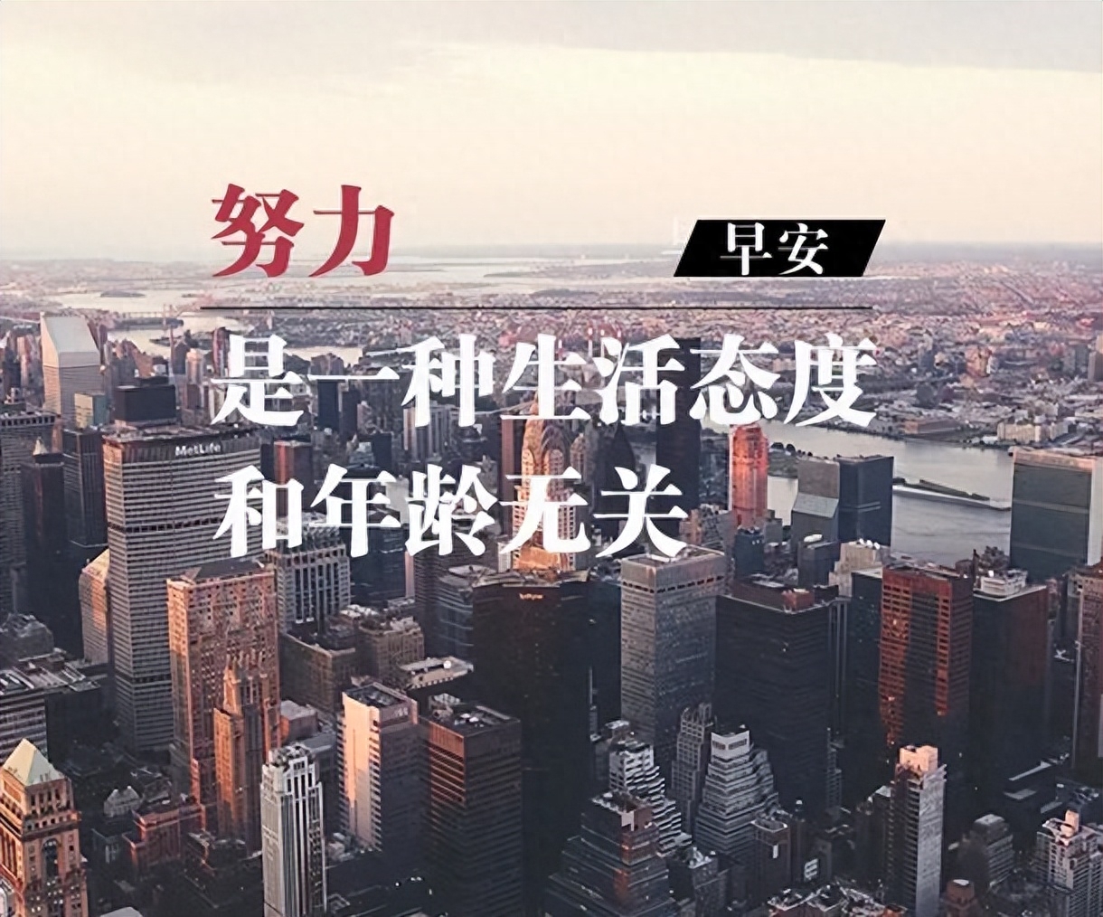 「2023.10.20」早安心语，正能量经典语录句子 触碰心灵的话语图片(图19)
