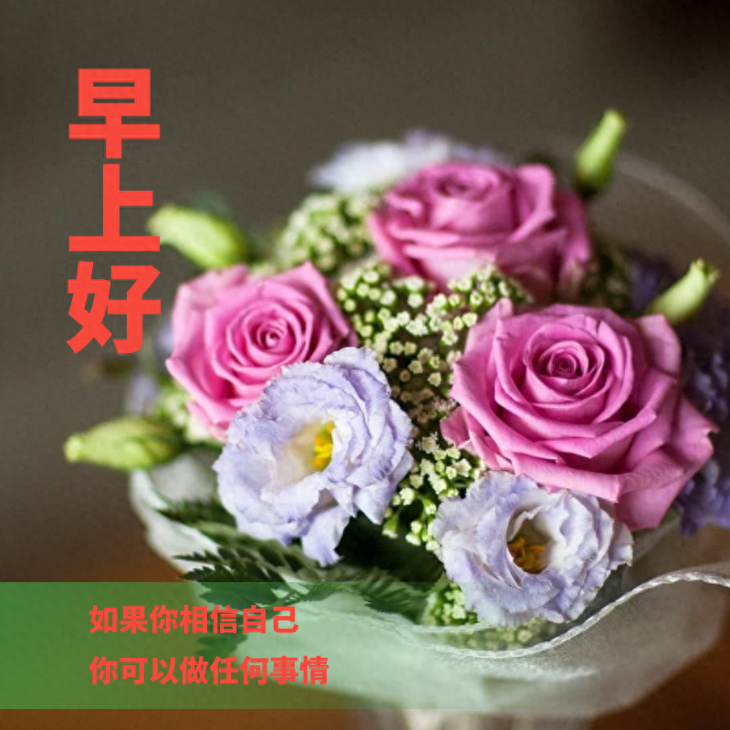 「2023.10.20」早安心语，正能量经典语录句子 触碰心灵的话语图片(图28)