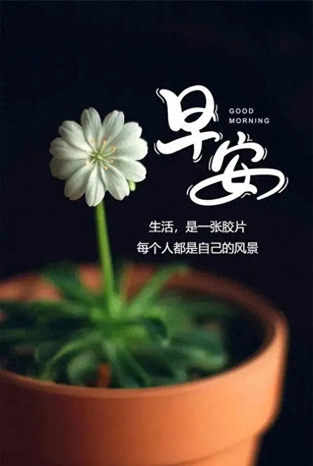 「2023.10.20」早安心语，正能量经典语录句子 触碰心灵的话语图片(图32)