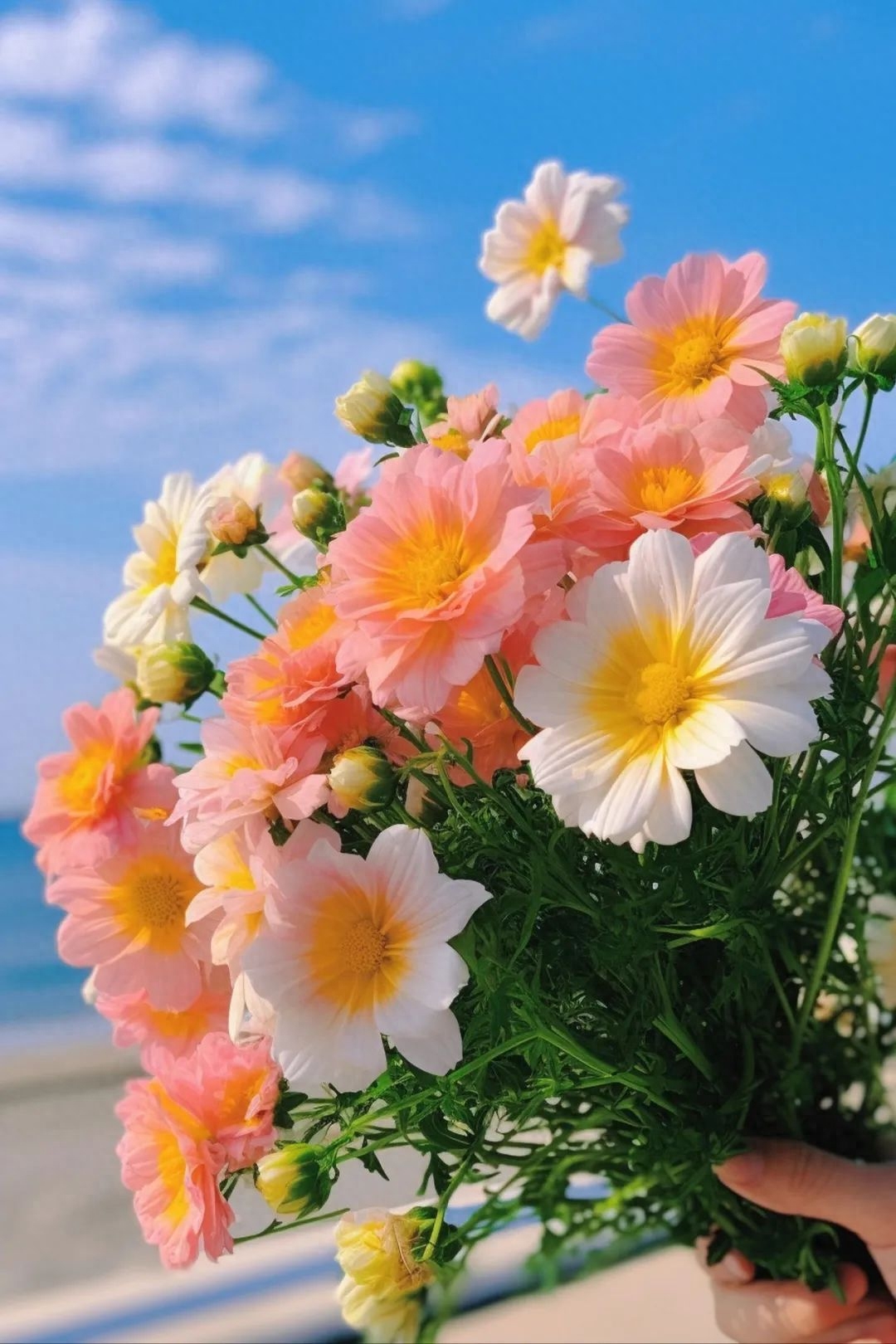 「2023.10.20」早安心语，正能量经典语录句子 触碰心灵的话语图片(图53)