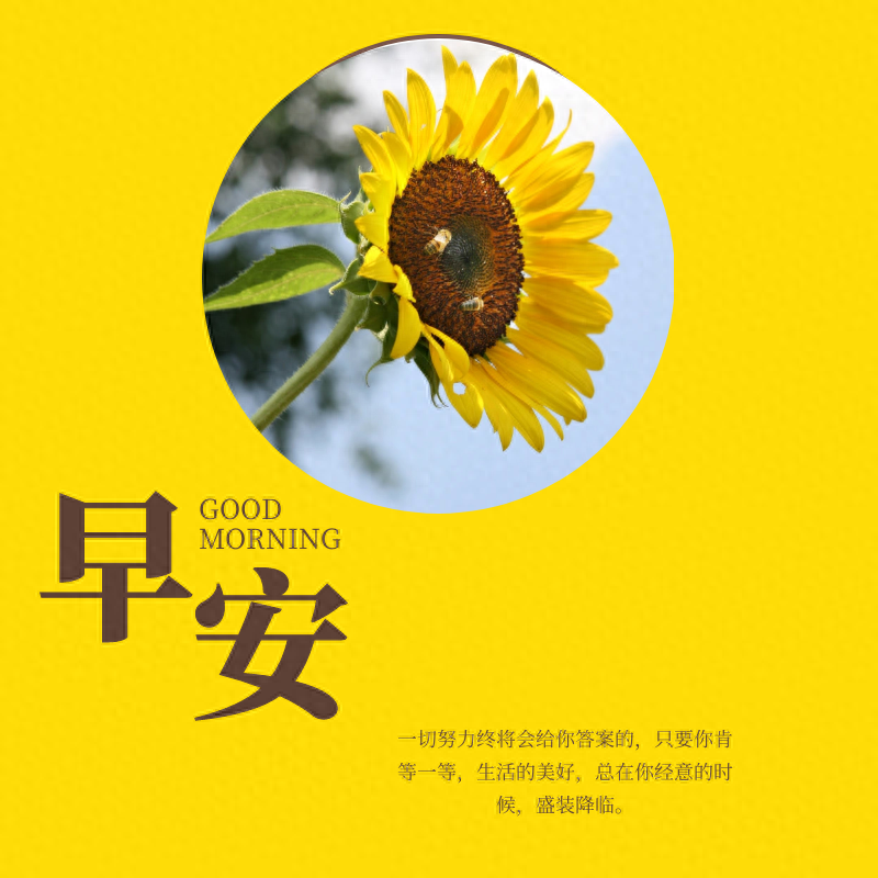 「2023.10.20」早安心语，正能量经典语录句子 触碰心灵的话语图片(图61)