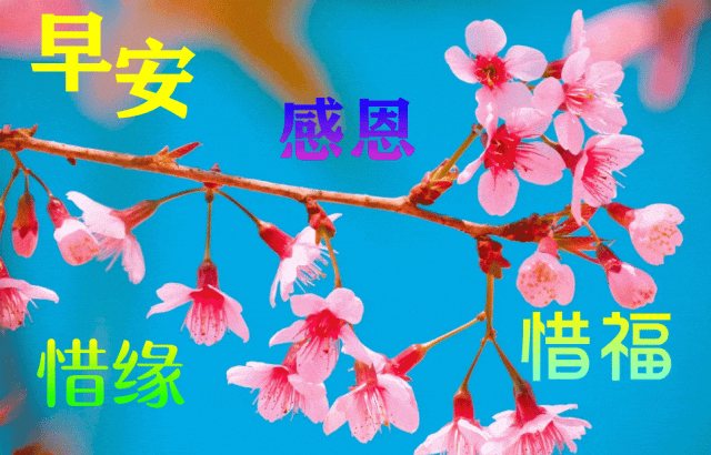 「2023.10.20」早安心语，正能量经典语录句子 触碰心灵的话语图片(图68)