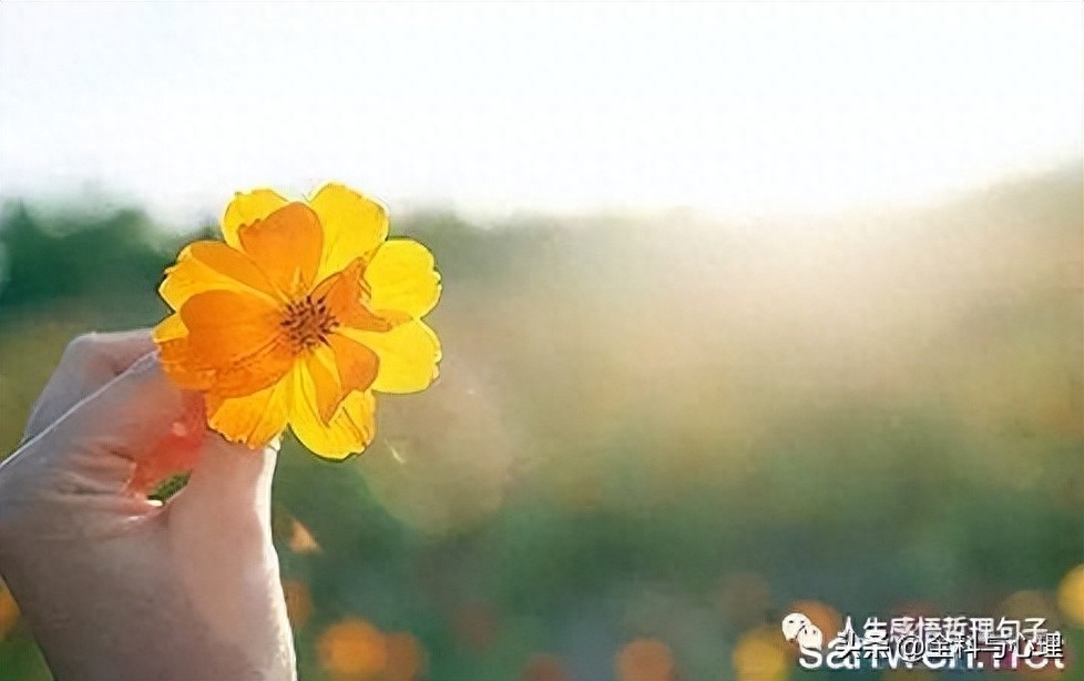 朋友圈早安激励人的正能量句子(图2)