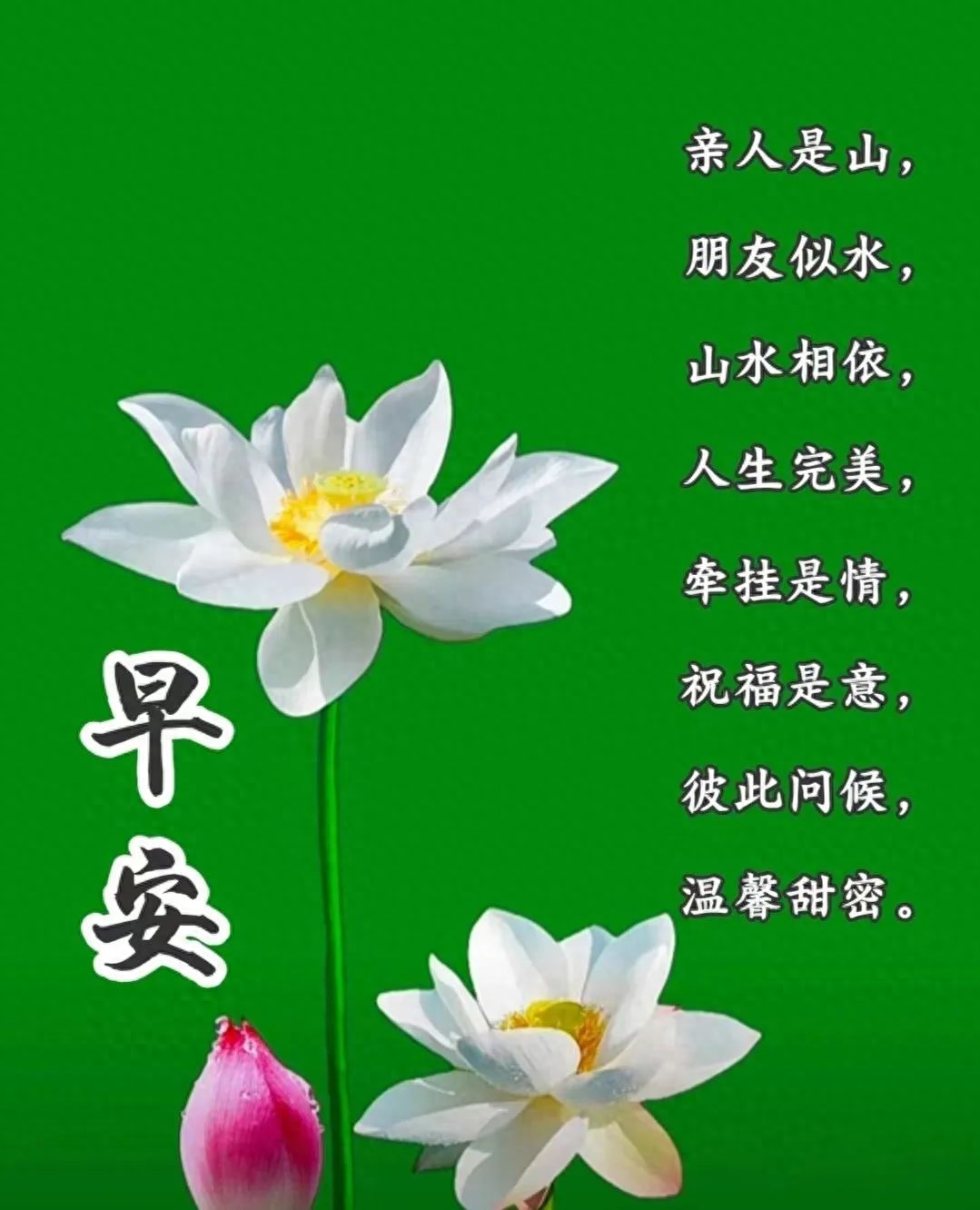 清晨发朋友圈的正能量问候语短句，阳光励志，唯美有哲理(图5)