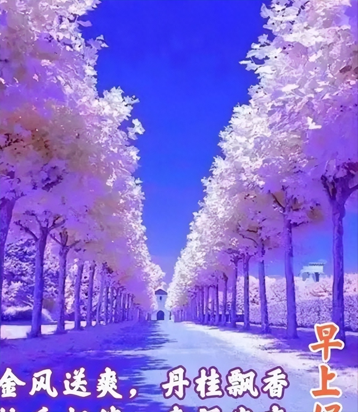 清晨发朋友圈的正能量问候语短句，阳光励志，唯美有哲理(图7)