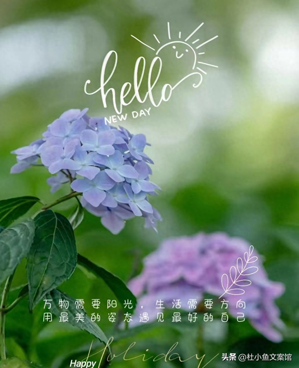 早安心语｜早上发朋友圈的文案，句句唯美动人让人忍不住分享！(图1)