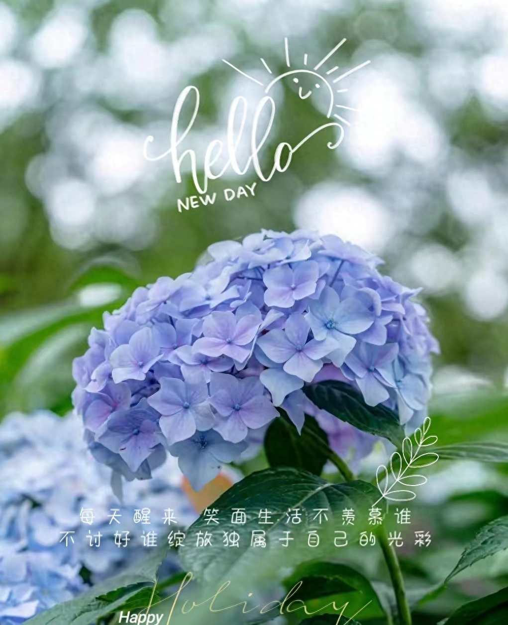 早安心语｜早上发朋友圈的文案，句句唯美动人让人忍不住分享！(图4)