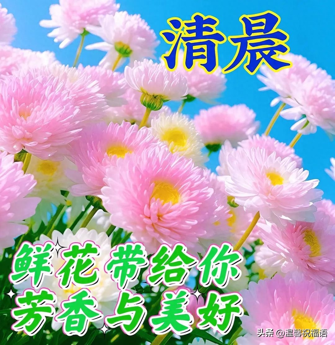 2023早上好漂亮图片祝福语，唯美的早安问候语图片祝福(图2)