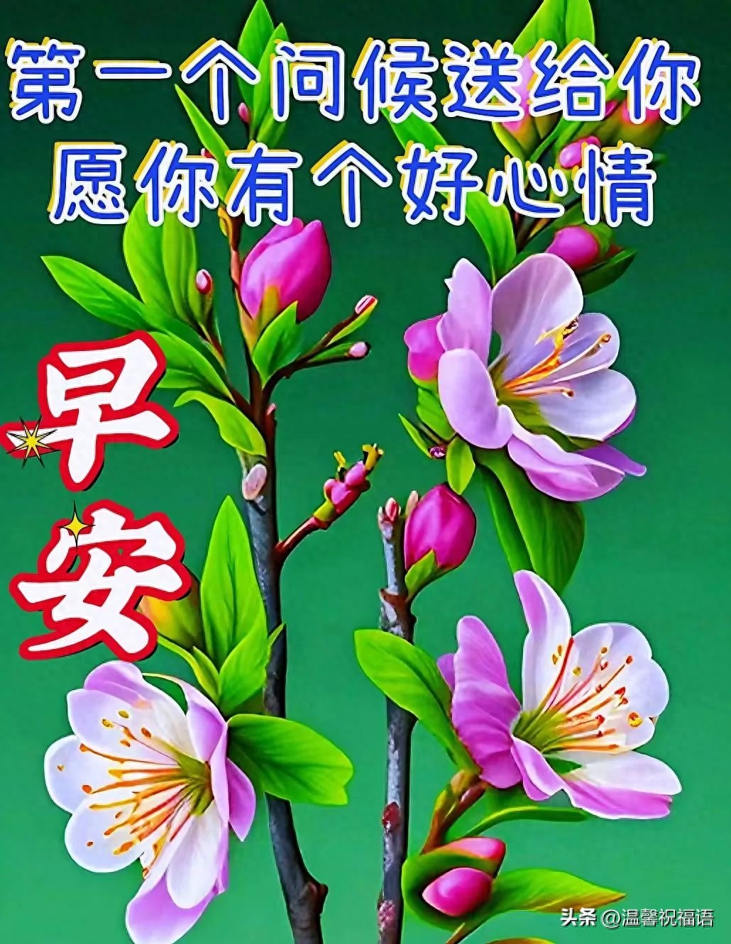 2023早上好漂亮图片祝福语，唯美的早安问候语图片祝福(图3)