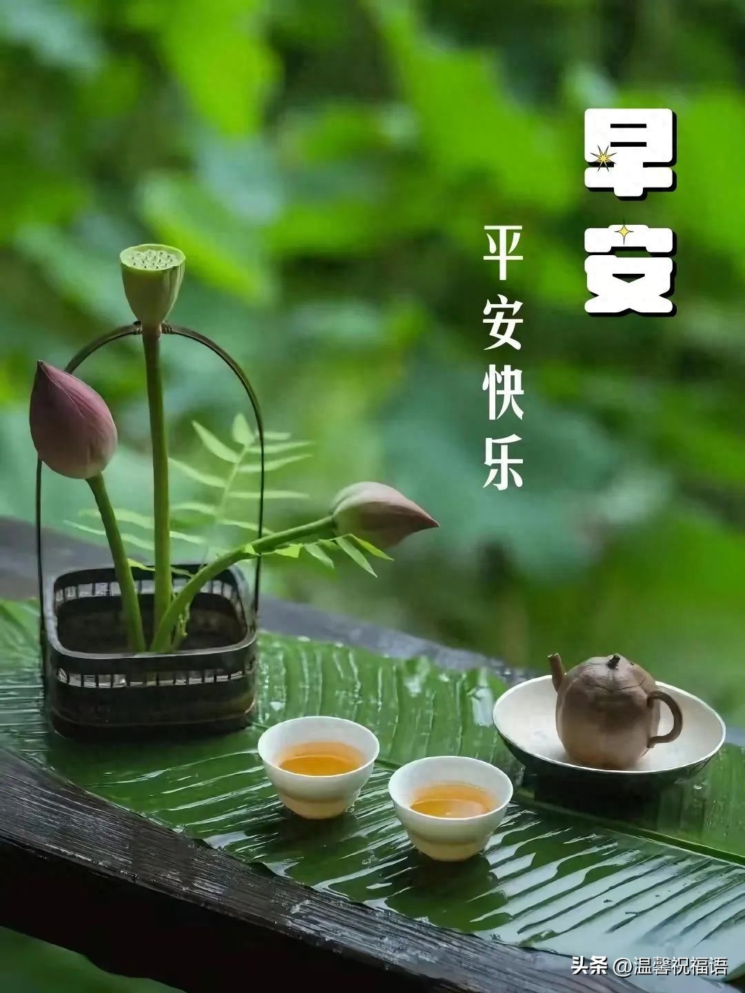 2023早上好漂亮图片祝福语，唯美的早安问候语图片祝福(图4)