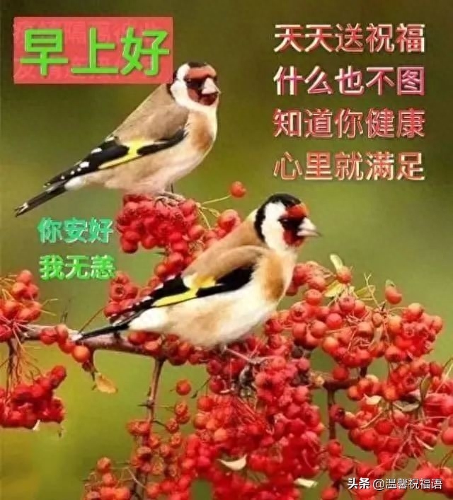 2023年10月17日周二早上好 最新版唯美好看祝福语图片带字问候短句(图3)